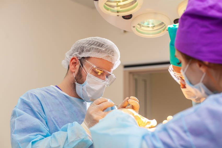 hårtransplantationssession